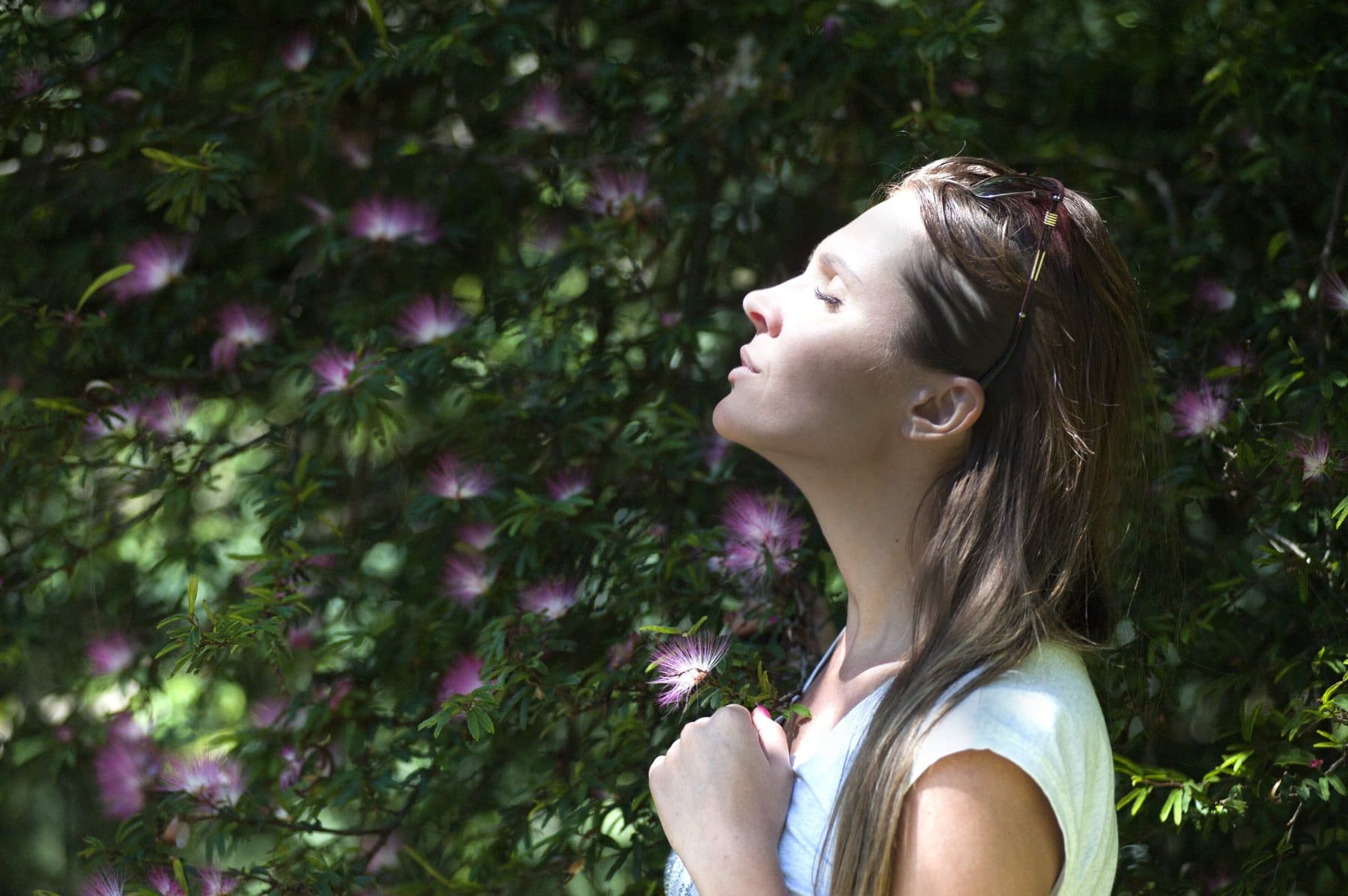 the art of receiving the breath