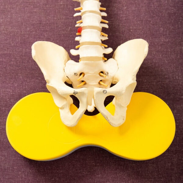 The Buttafly Technique faciliates a natural release and realignment of the spine for effortless posture correction