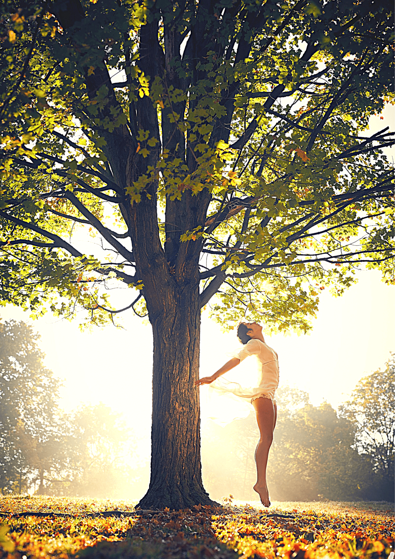 Reap The Power Of Postural Transformation (420 x 594 mm)