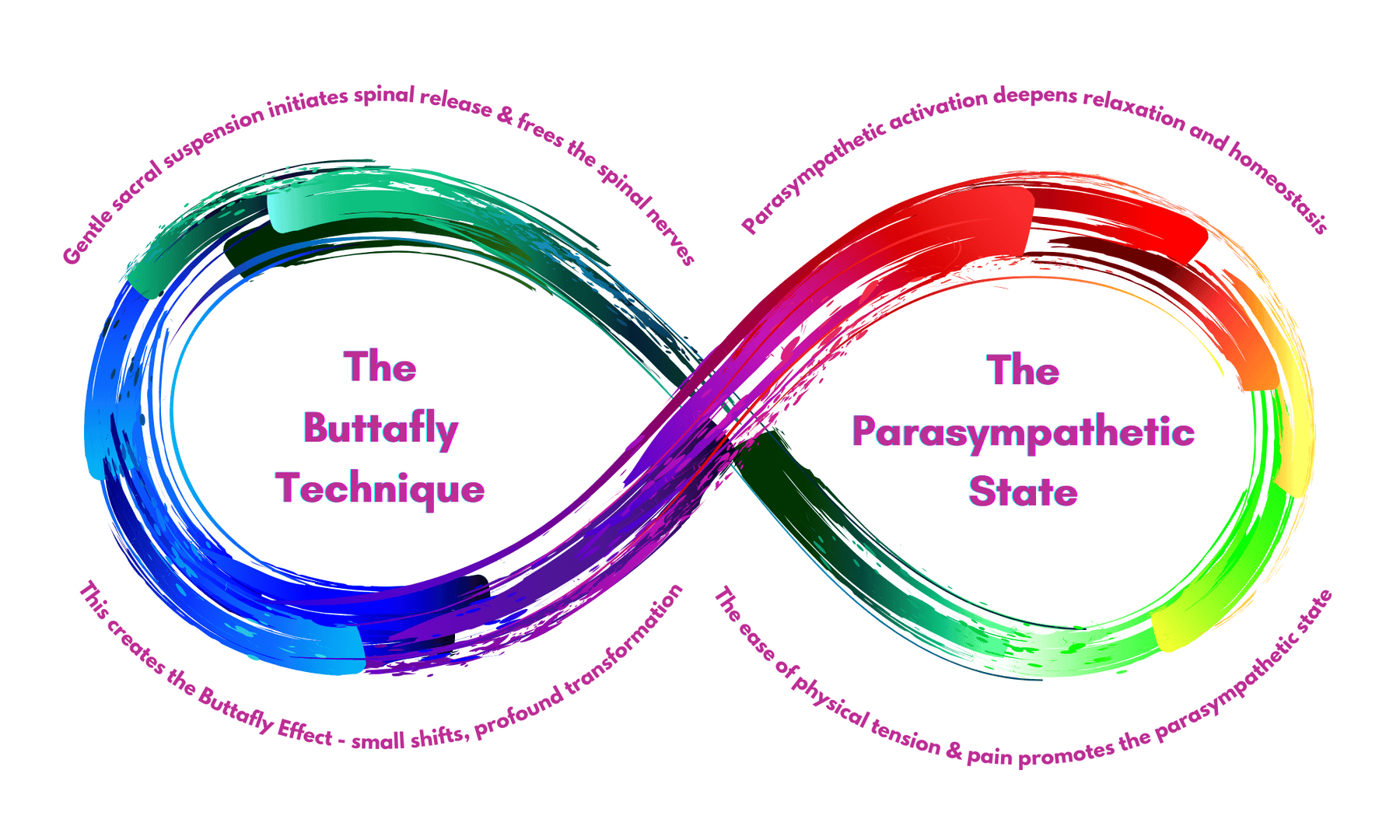The gentle suspension of the sacrum of the Buttafly Technique allows the spine to release and realign naturally, without force. This supports the parasympathetic state by relieving physical tension and creating a sense of ease in the body which further deepens the healing.